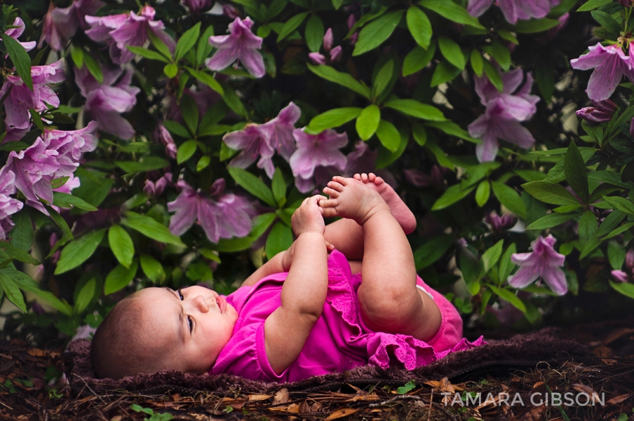 St. Simons Island Family Photographer