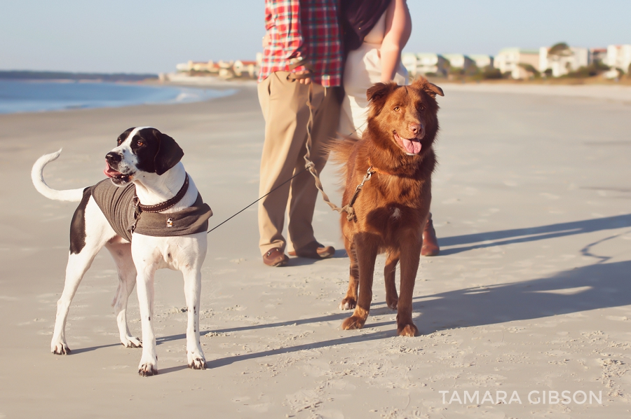 St Simons Island Family photography | tamara-gibson.com