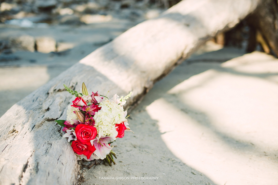 Driftwood Beach Elopement | Jekyll island Photographer | tamara-gibson.com