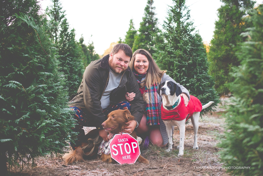 Christmas Tree Farm Portrait Session by Tamara Gibson | https://tamara-gibson.com/