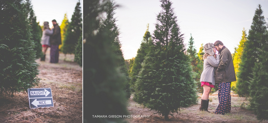 Christmas Tree Farm Portrait Session by Tamara Gibson | https://tamara-gibson.com/