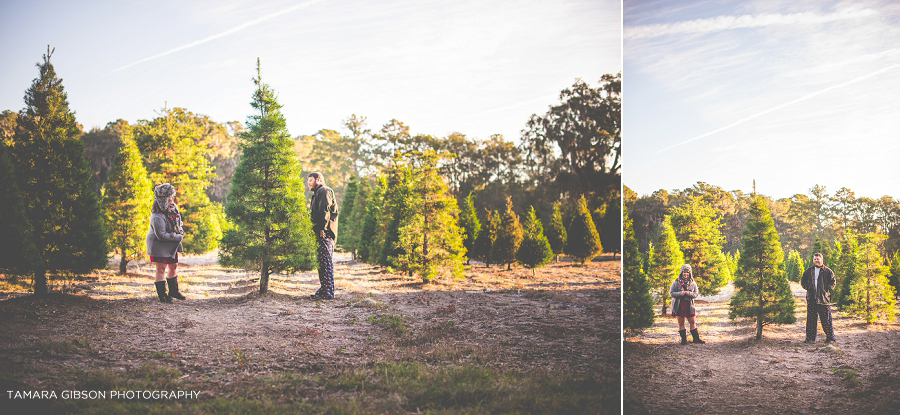 Christmas Tree Farm Portrait Session by Tamara Gibson | https://tamara-gibson.com/