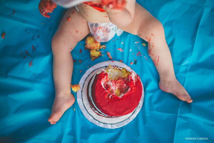 St Simons Island Cake Smash Photo Session 1st Birthday