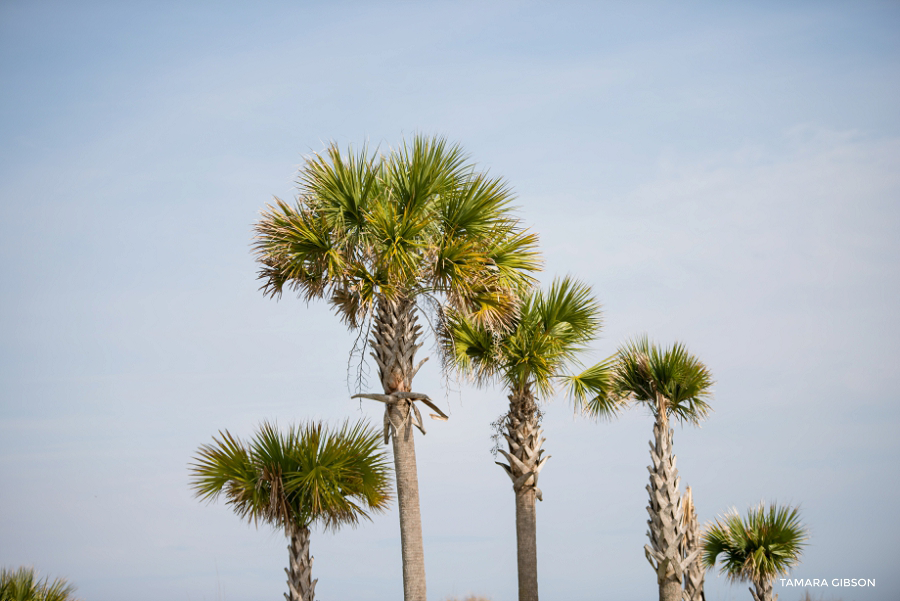 Jekyll Island Convention Center Wedding by Tamara Gibson Photography | Coastal Georgia Wedding