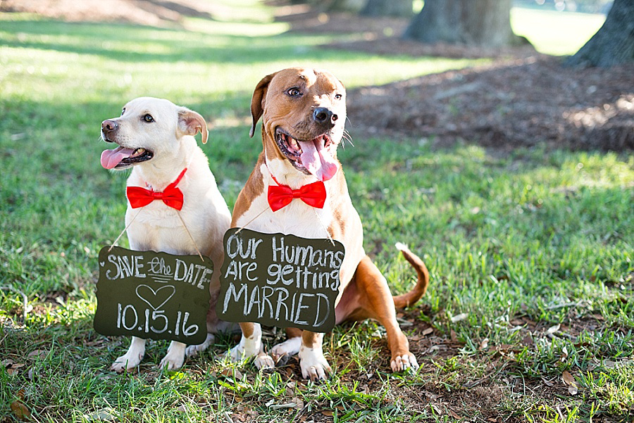 Fun and Sweet Engagement Session by Tamara Gibson Photography | St. Simons Island Photographer | www.tamara-gibson.com