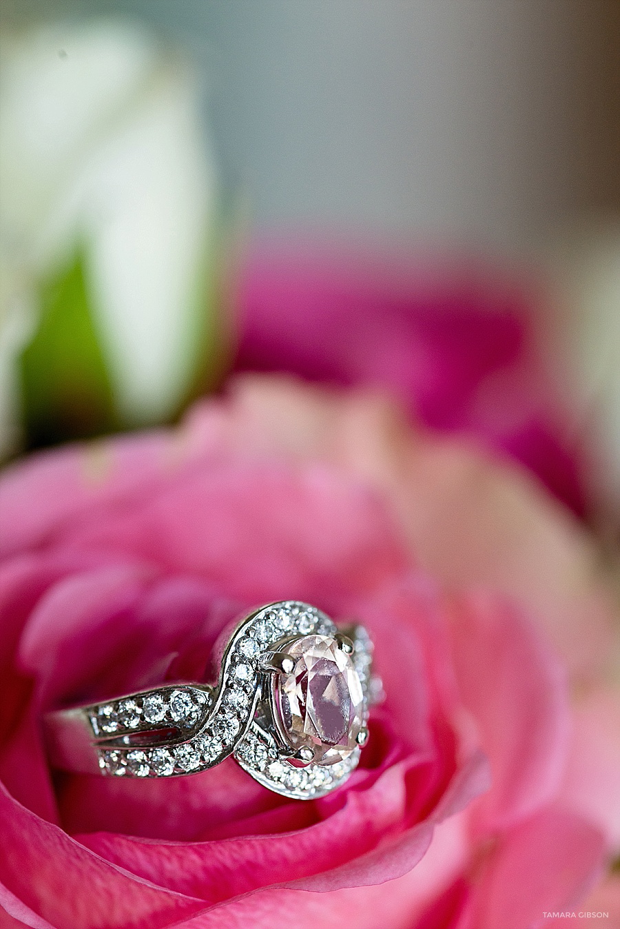 Intimate Wedding at Driftwood Beach by Tamara Gibson Photography | www.tamara-gibson.com