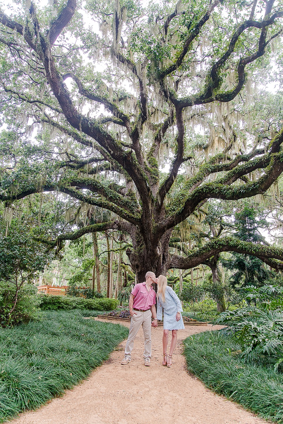 Washington Oak State Park Engagement Session by Tamara Gibson Photography |  Palm Coast Florida Engagement Photographer | www.tamara-gibson.com