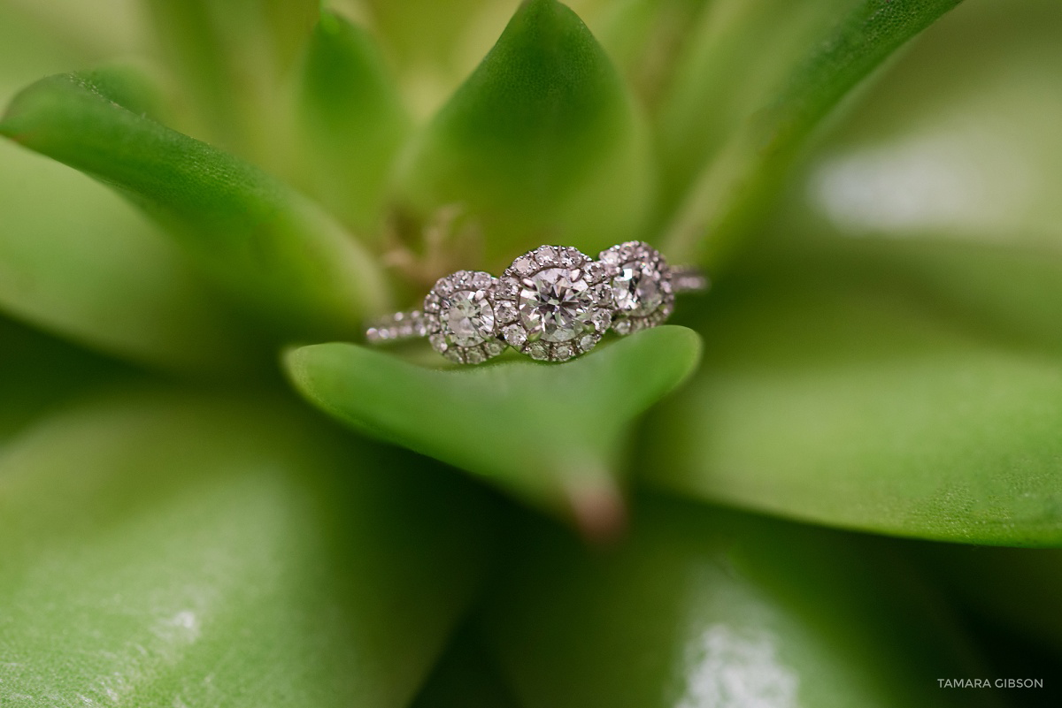 The Cloister Engagement Session by Tamara Gibson Photography www.tamara-gibson.com 