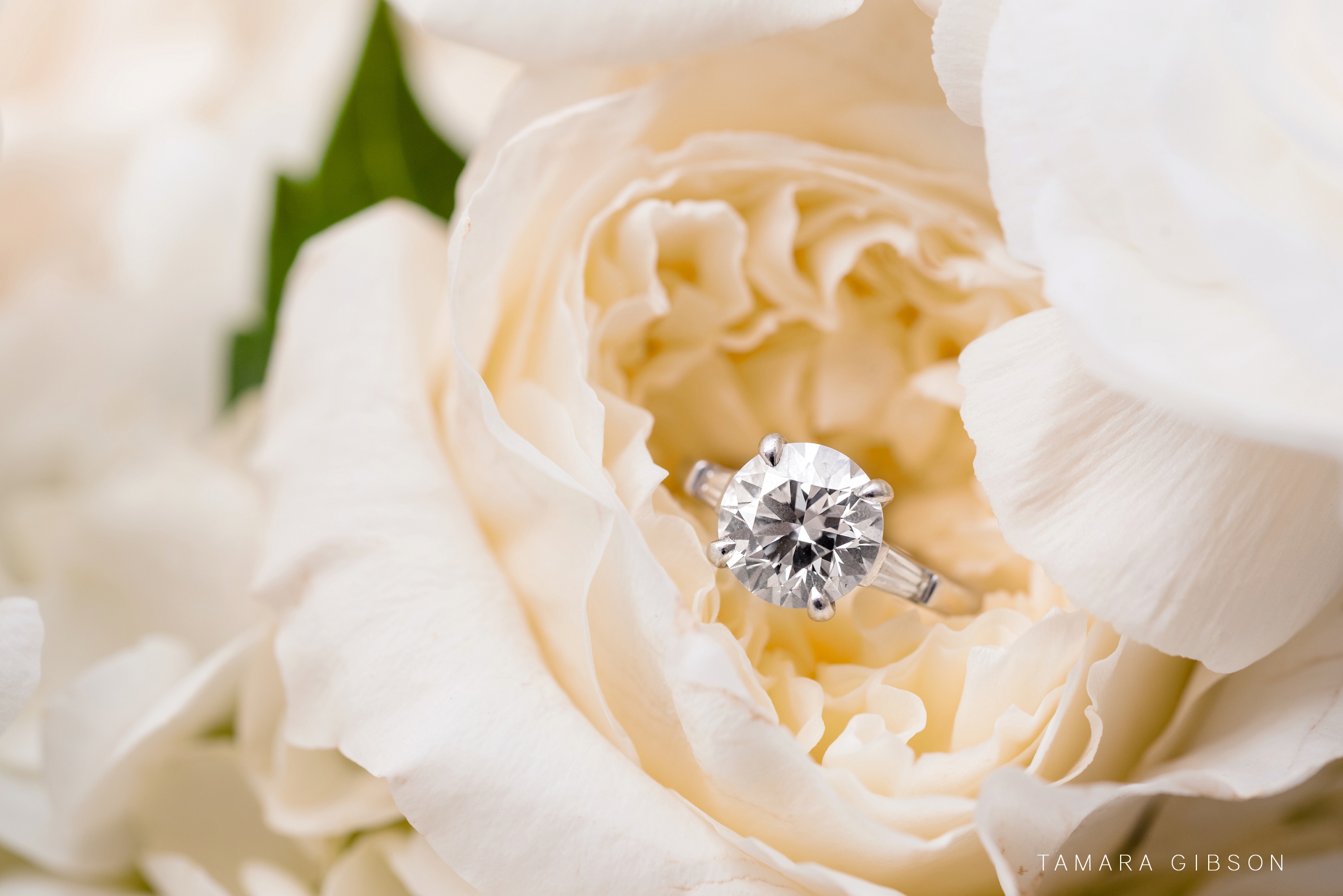 Detail shot of diamond ring in a flower
